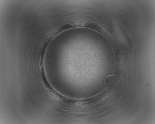 X0000054430641200508121819