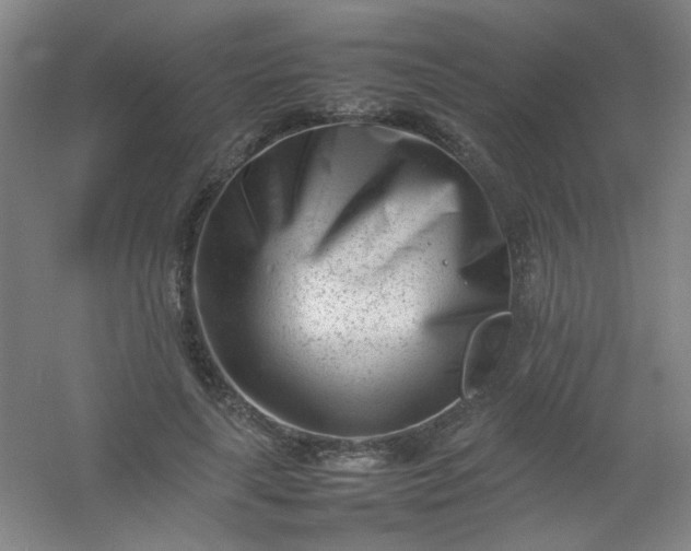 X0000054430643200508121819