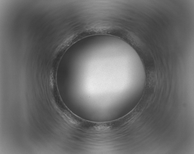 X0000054430644200508121819