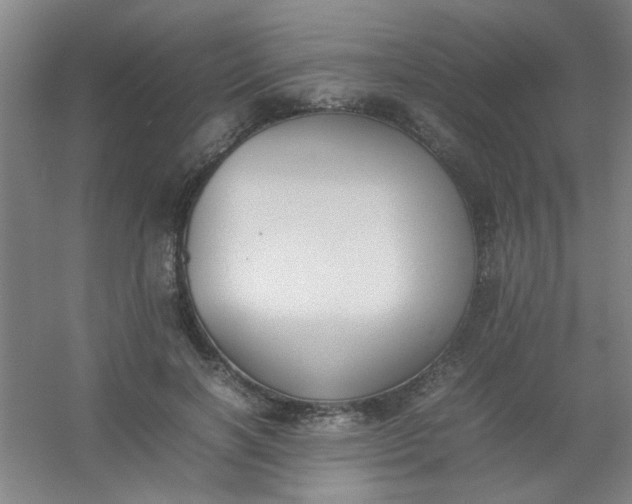 X0000054430646200508121819