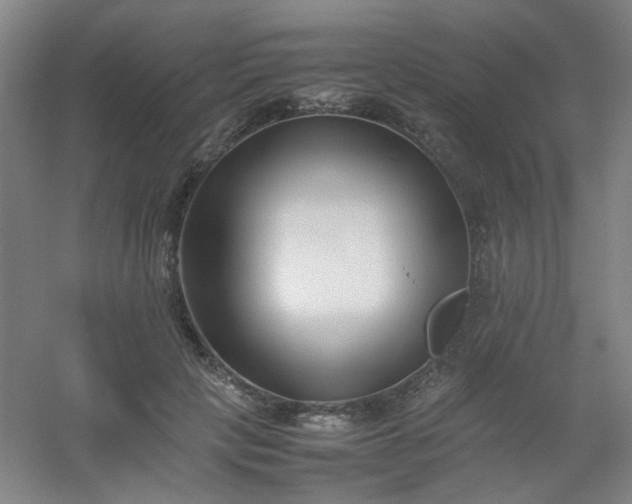 X0000054430649200508121819