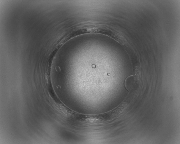 X0000054430650200508121819