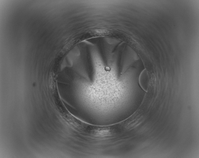 X0000054430651200508121819