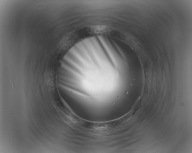 X0000054430653200508121819