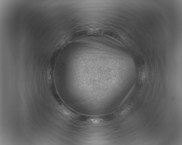 X0000054430654200508121819