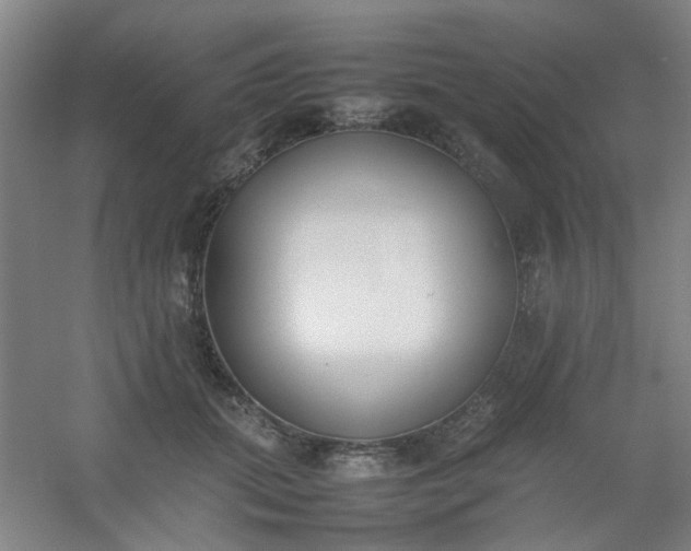 X0000054430655200508121820