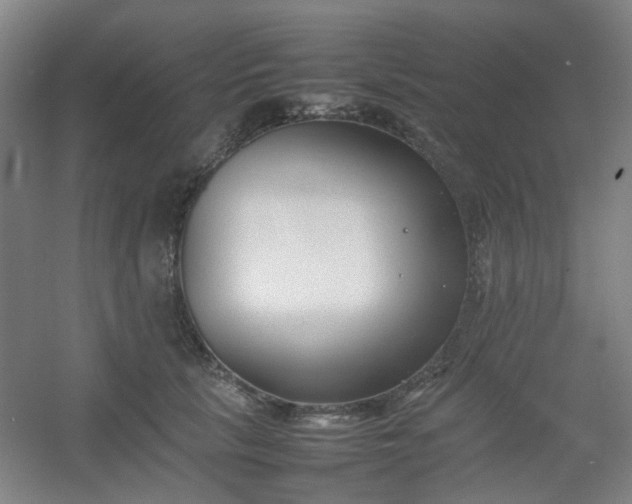 X0000054430657200508121820