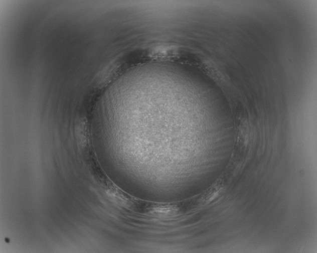 X0000054430659200508121820