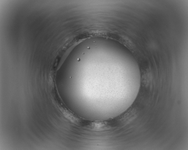 X0000054430662200508121820