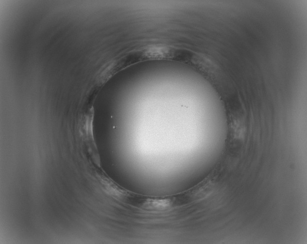 X0000054430665200508121820