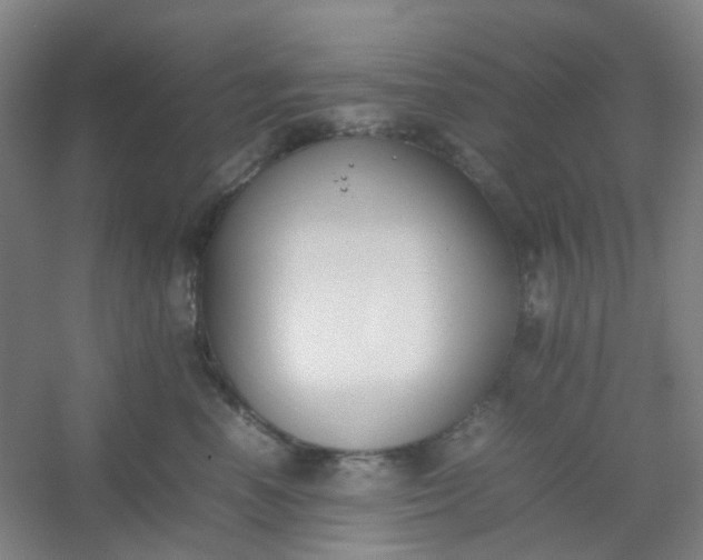 X0000054430666200508121820