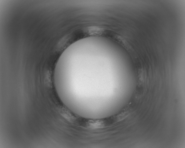 X0000054430667200508121820