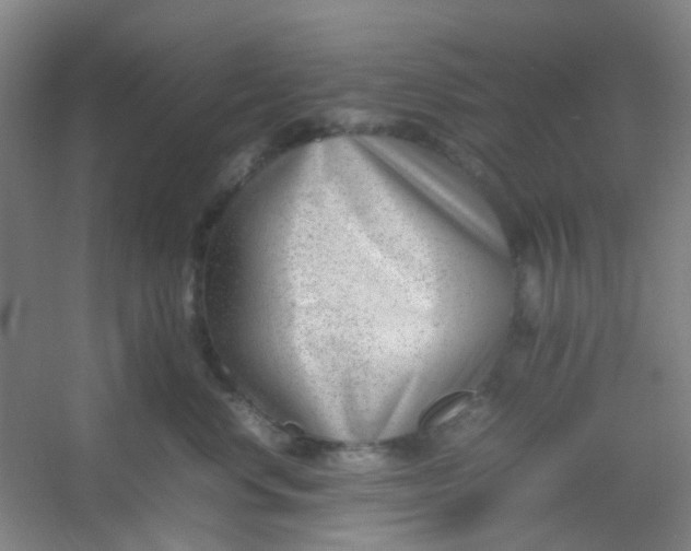 X0000054430668200508121820