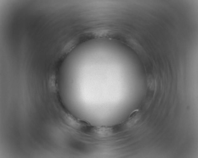 X0000054430670200508121820