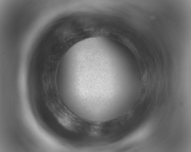 X0000054430671200508121820