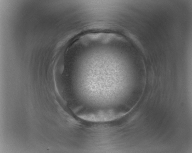 X0000054430673200508121819