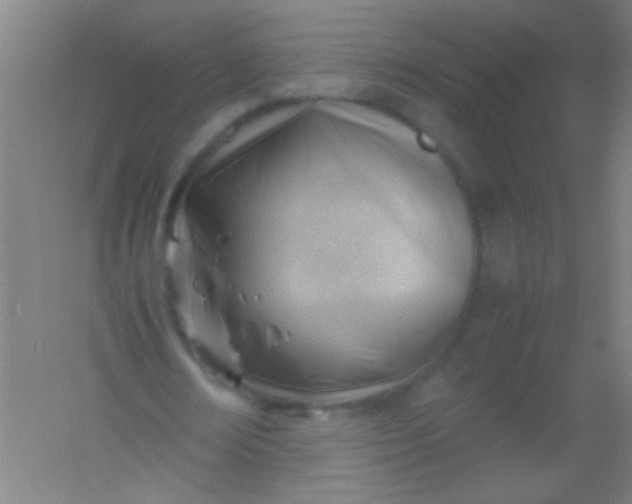 X0000054430674200508121819