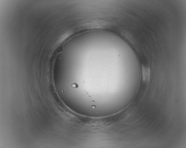 X0000054430675200508121819