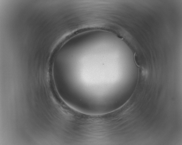 X0000054430676200508121819