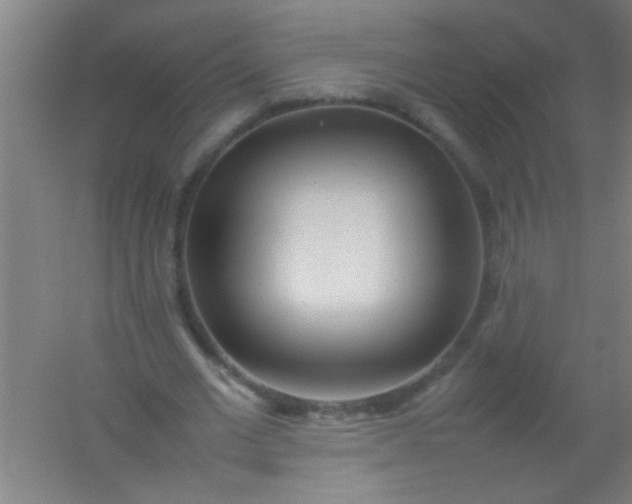 X0000054430677200508121819