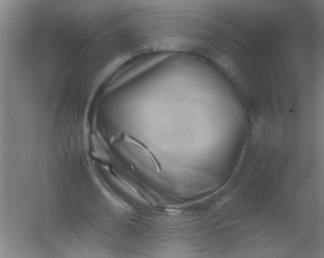 X0000054430678200508121819