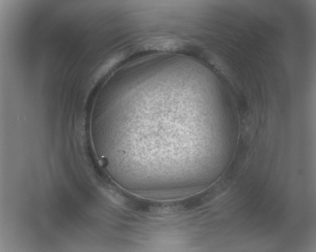 X0000054430679200508121819