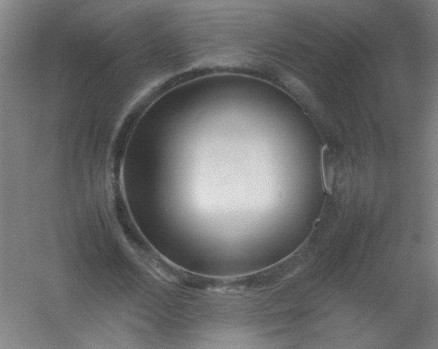 X0000054430680200508121819