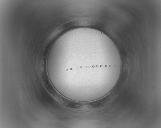 X0000054430683200508121819