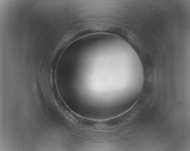 X0000054430685200508121819