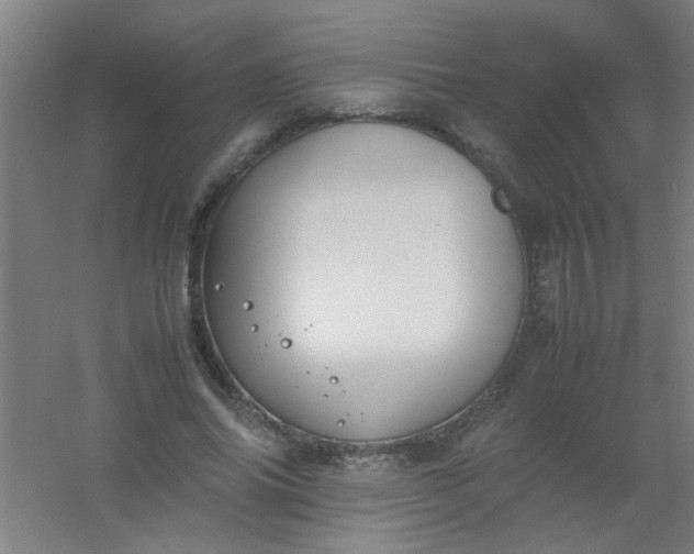 X0000054430686200508121819