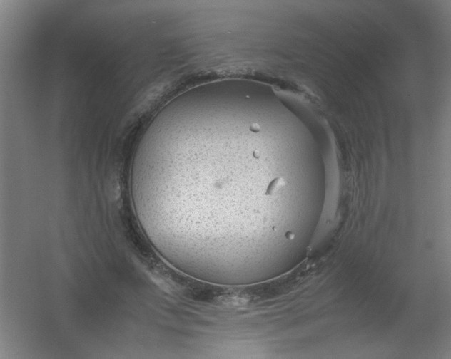 X0000054430687200508121819