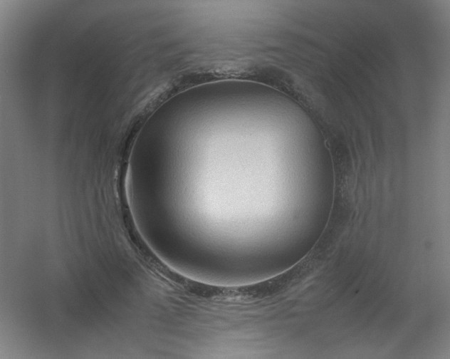 X0000054430689200508121819