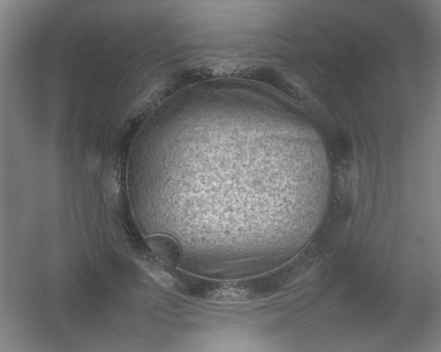 X0000054430691200508121819