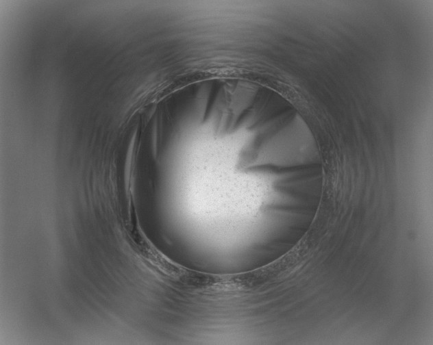 X0000054430696200508121819