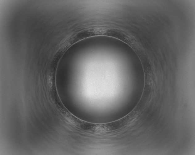 X0000054430697200508121819