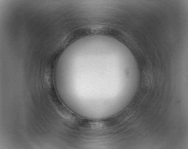 X0000054430698200508121819