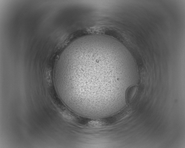 X0000054430699200508121819