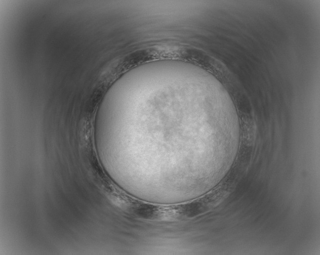 X0000054430701200508121819