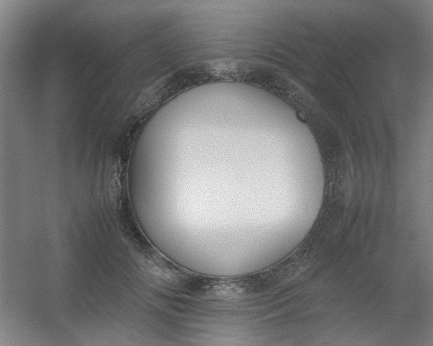 X0000054430702200508121818