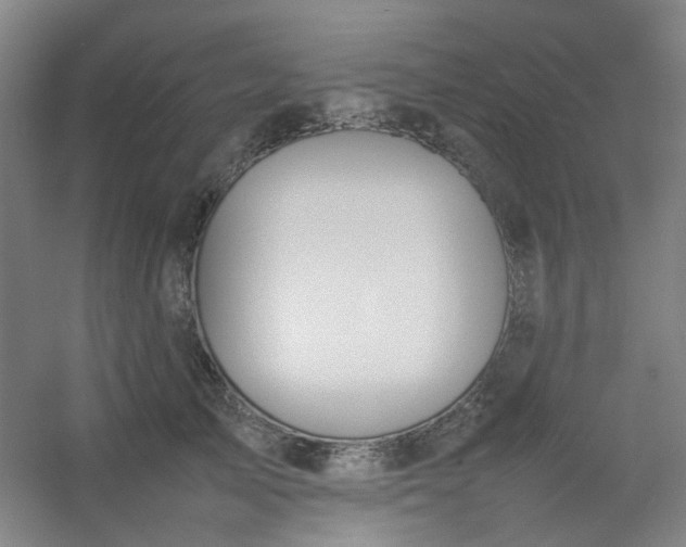 X0000054430705200508121818