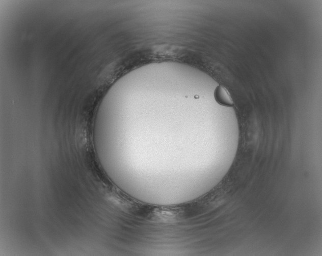 X0000054430706200508121818