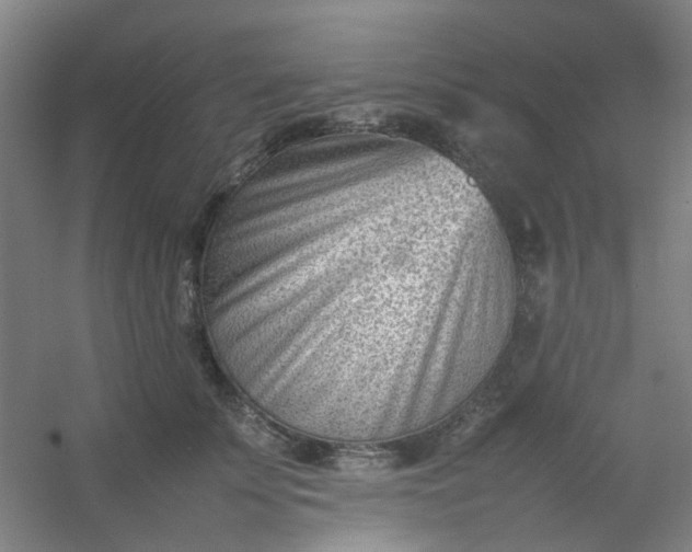 X0000054430707200508121818