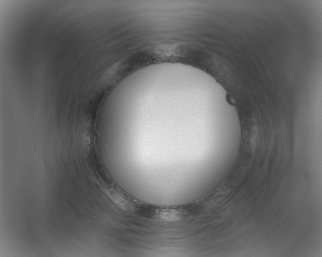 X0000054430710200508121818