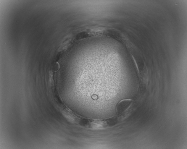 X0000054430711200508121818