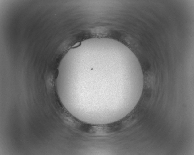 X0000054430713200508121818