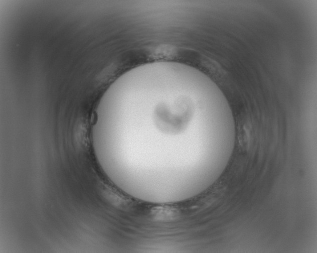 X0000054430714200508121818