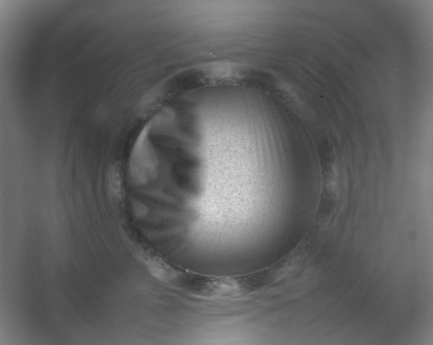 X0000054430715200508121818