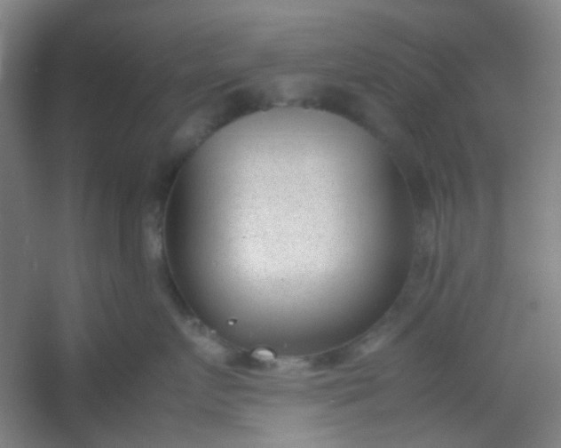 X0000054430719200508121818