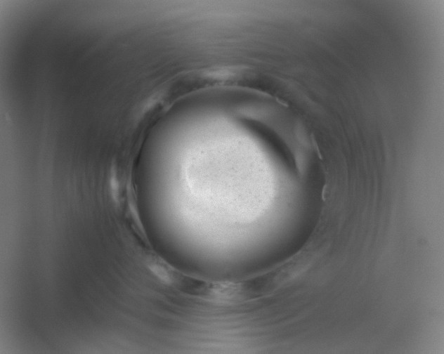 X0000054430720200508121818