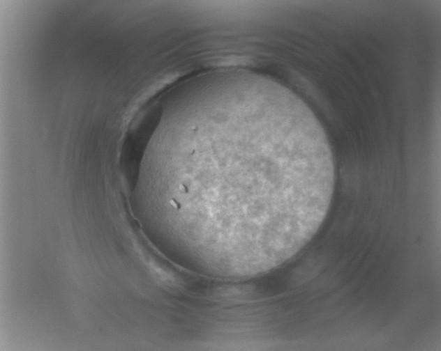 X0000054430721200508121817